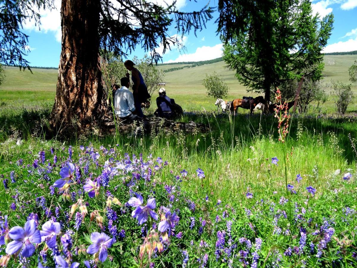 Top Tour & Guesthouse Mongolia Ουλάν Μπατόρ Εξωτερικό φωτογραφία